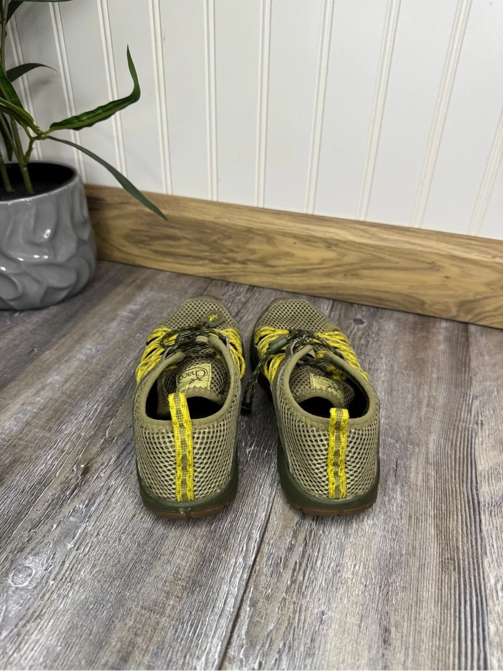 Chaco avocado green